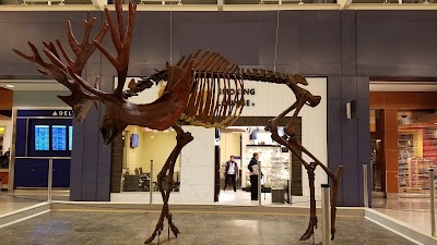 Photos of Cincinnati/Northern Kentucky International Airport