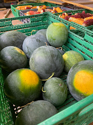 Photo n°31 de La forêt d'émeraude à Pey (Pizzeria)