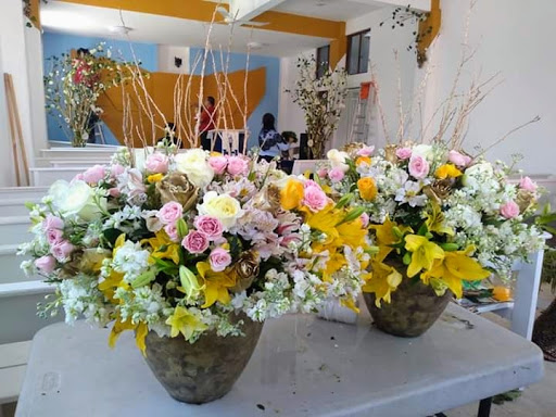 Eventos Rosa de Jericó - Thumbnail