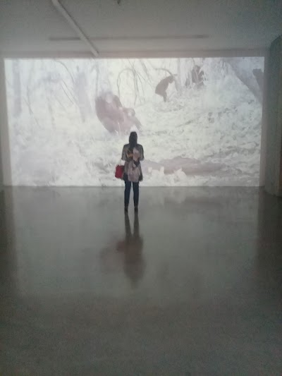 Photos of ALONSO GARCES GALLERY