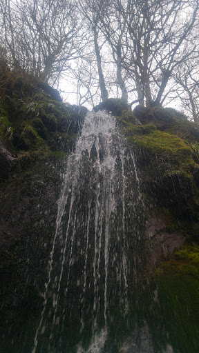 Garshellach Forest - Visual