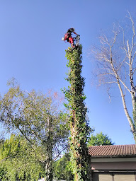 Photo n°14 de Arboletik à Bidart (Service d'élagage)