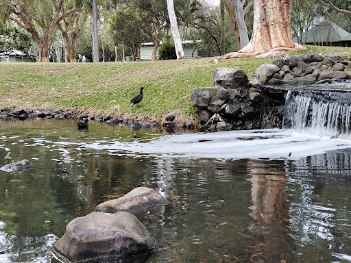 Peacock enclosure - Thumbnail