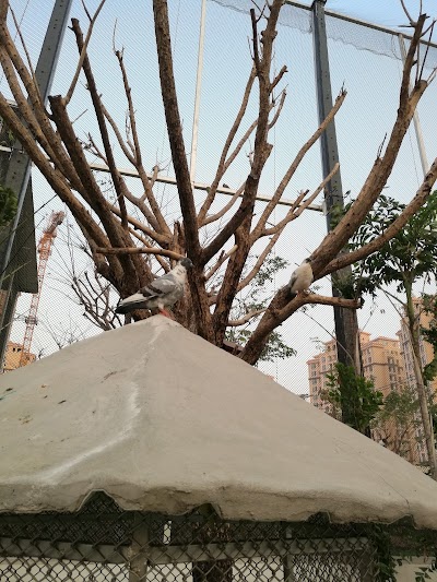 zoo