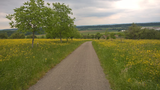 Nussbaum-Lehrpfad - Thumbnail