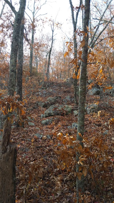 Pink E. Burns Trailhead