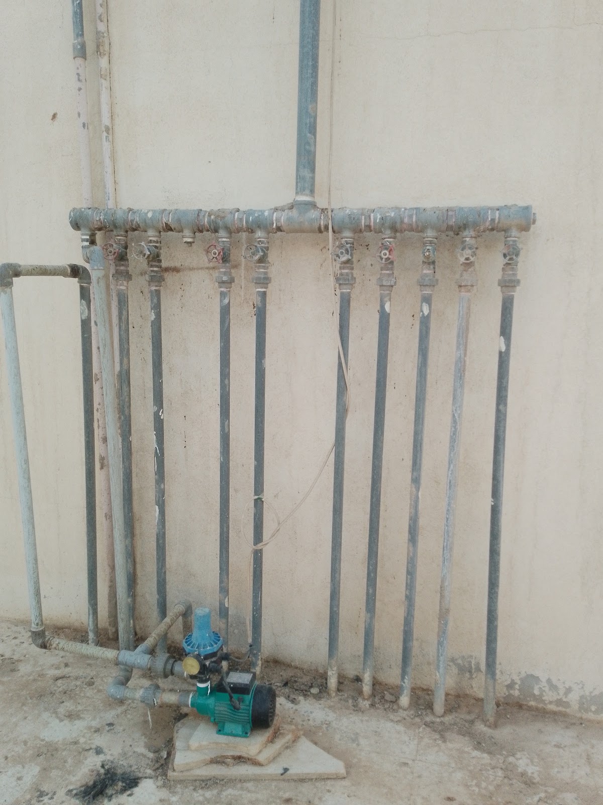 Nadeem Haider - صورة 2