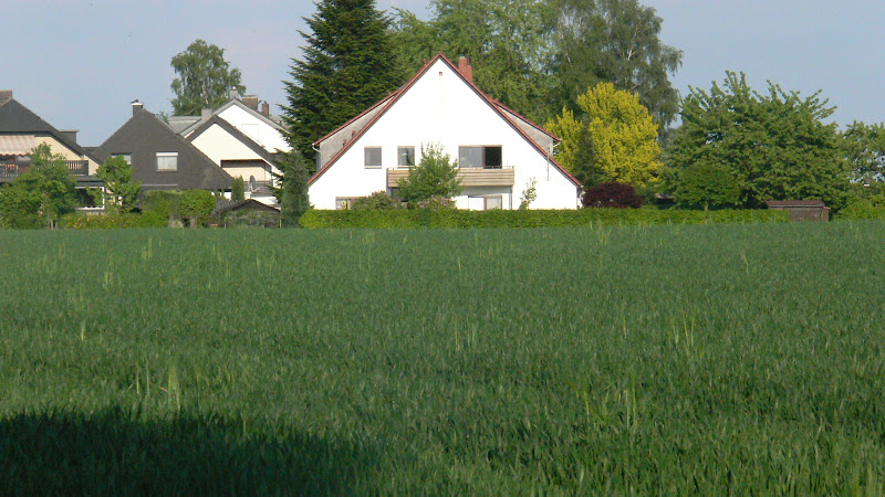 Meerschweinchenzucht Meersgard