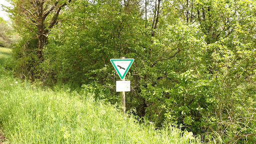 Naturdenkmal Tiefenbronner Weg
