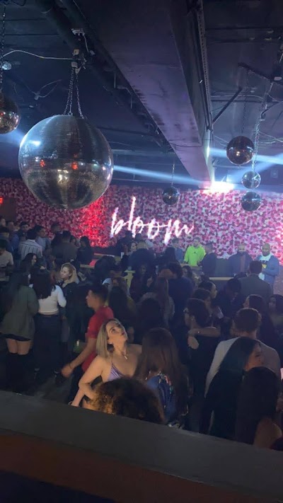 Bloom Boutique Nightclub & Lounge