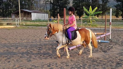 Photos of Equizette Horse center and riding school.