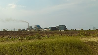Photos of Skeldon Sugar Factory