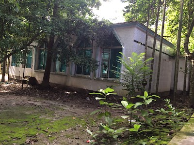 mosque