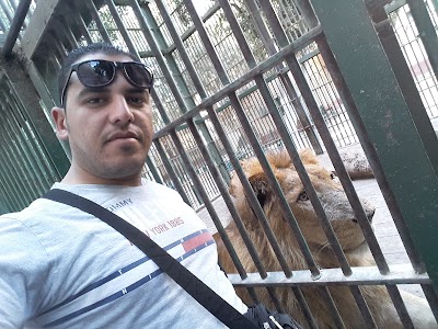 Photos of حديقة الحيوان - الفيوم