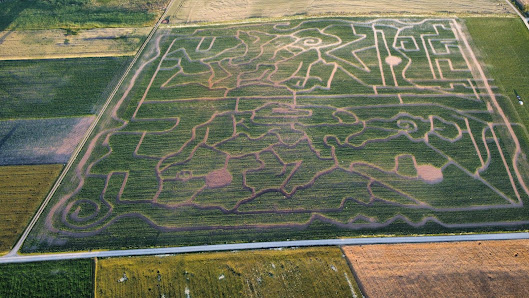 Kukuruz-Labyrinth Klein-Meiseldorf, 3744 Kleinmeiseldorf, Österreich