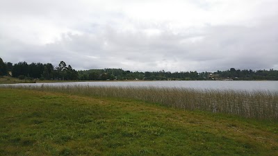 Photos of Camping y Caba&ntilde;as La Estrella - Lago Lleu-lleu