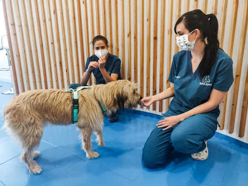 Clínica Veterinaria Nakama