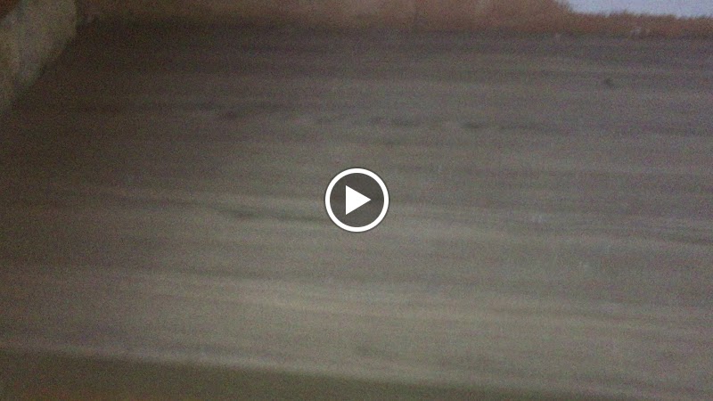 Day2Day Pest Control 24/7 photo 3