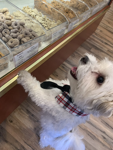 Nom Nom Nom Dog Bakery CW - Thumbnail
