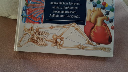 Benno Ursula, Praxis für Physiotherapie und Feldenkrais - Thumbnail