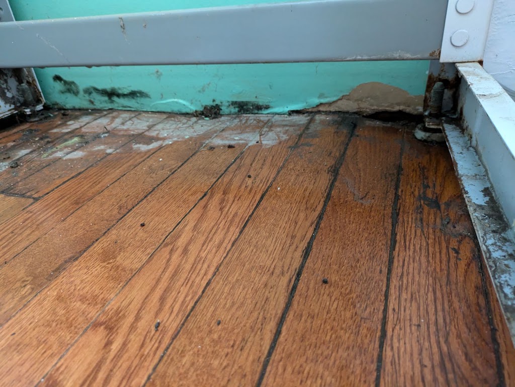 Hydro Hero Restoration photo