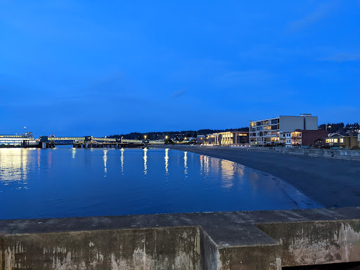 Olympic Beach - Visual