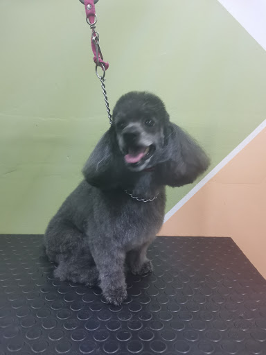 V&V Centro Integral Veterinario - Thumbnail