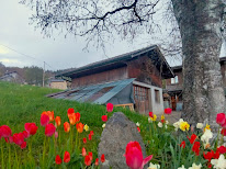 Menuiserie Pascal Mamet à Habère-Poche