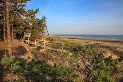 Photos of Pine nature trail, bird watching tower
