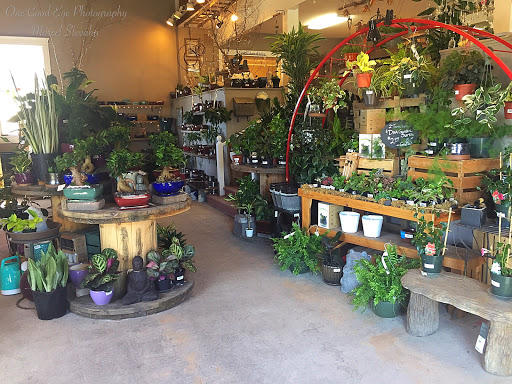Gardener's Choice - Thumbnail