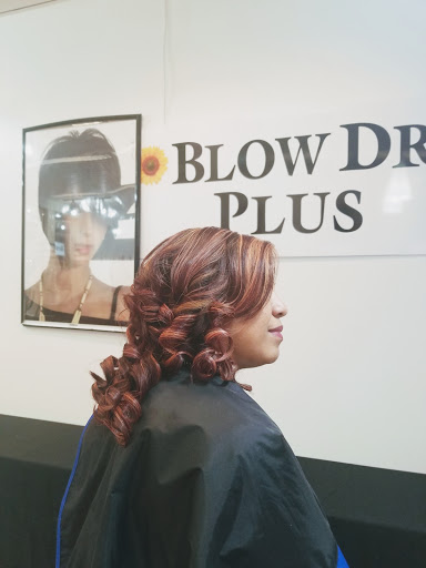 Blow Dry Plus - Visual