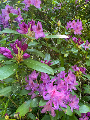 Darts Hill Garden Park - Thumbnail