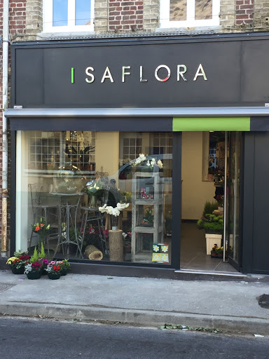 Isaflora - Visual