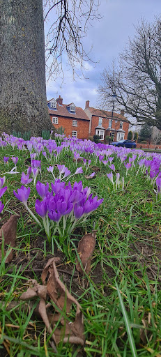 Nettleham View - Visual