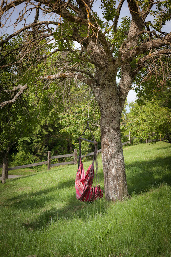 Photo 3 - Le Bonheur dans le Pré