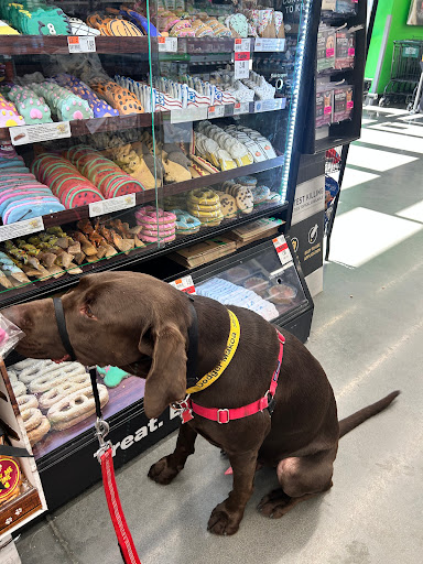 Pet Supplies Plus Lehi Gallery - United States