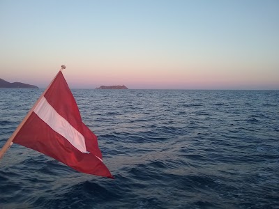 Photos of Roja Yacht Club