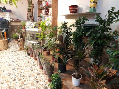 Photos of Flower Shope