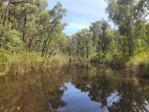 Mortimer Picnic Ground Gallery - Australia