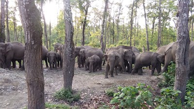 Photos of Jomotsangkha Wildlife Sanctuary