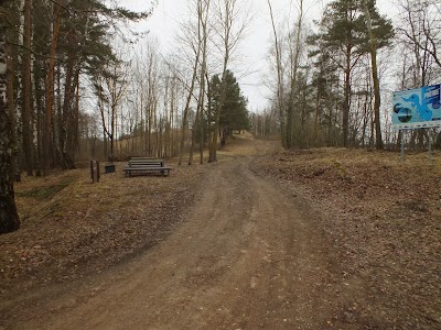 Photos of &Scaron;vč. Mergelės Marijos, Gailestingumo Motinos, bažnyčia