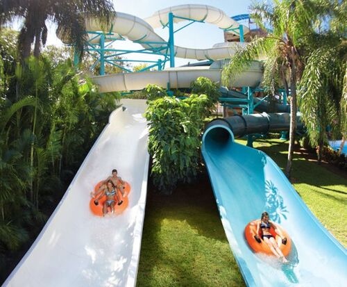 Calypso Coaster - Visual