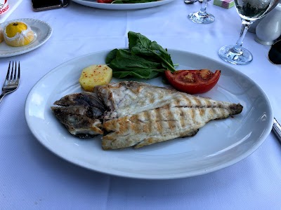 Hanedan Restaurant Meat & Fish