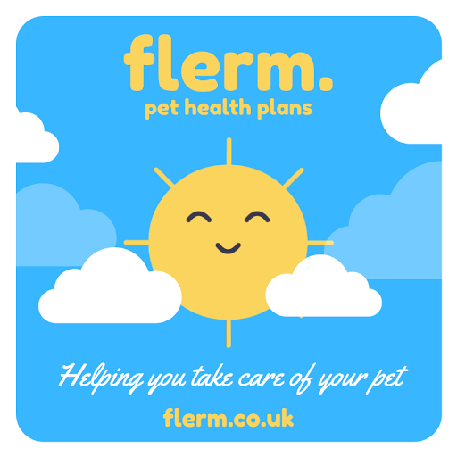 Flerm - Visual