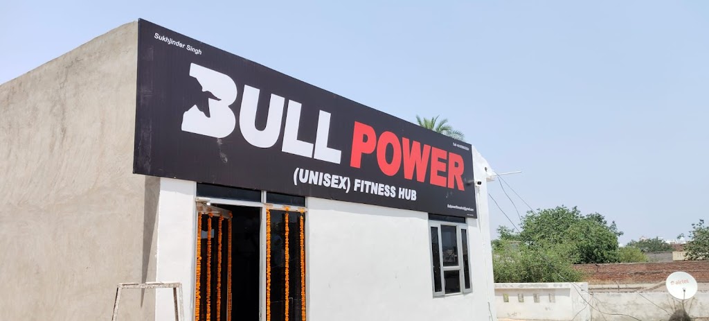 Bull Power Fitness Hub
