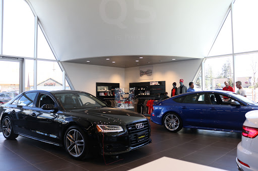Audi Bend - Visual