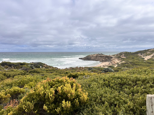 Pearses Beach Car Park