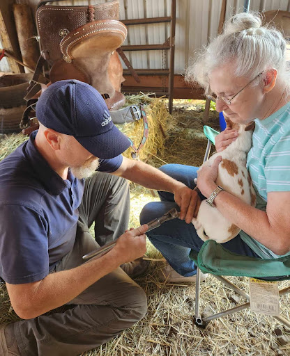 E Mobile Veterinary Service - Thumbnail