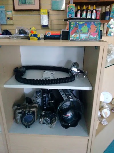 Photos of DIVE ABACO! (Since 1978)