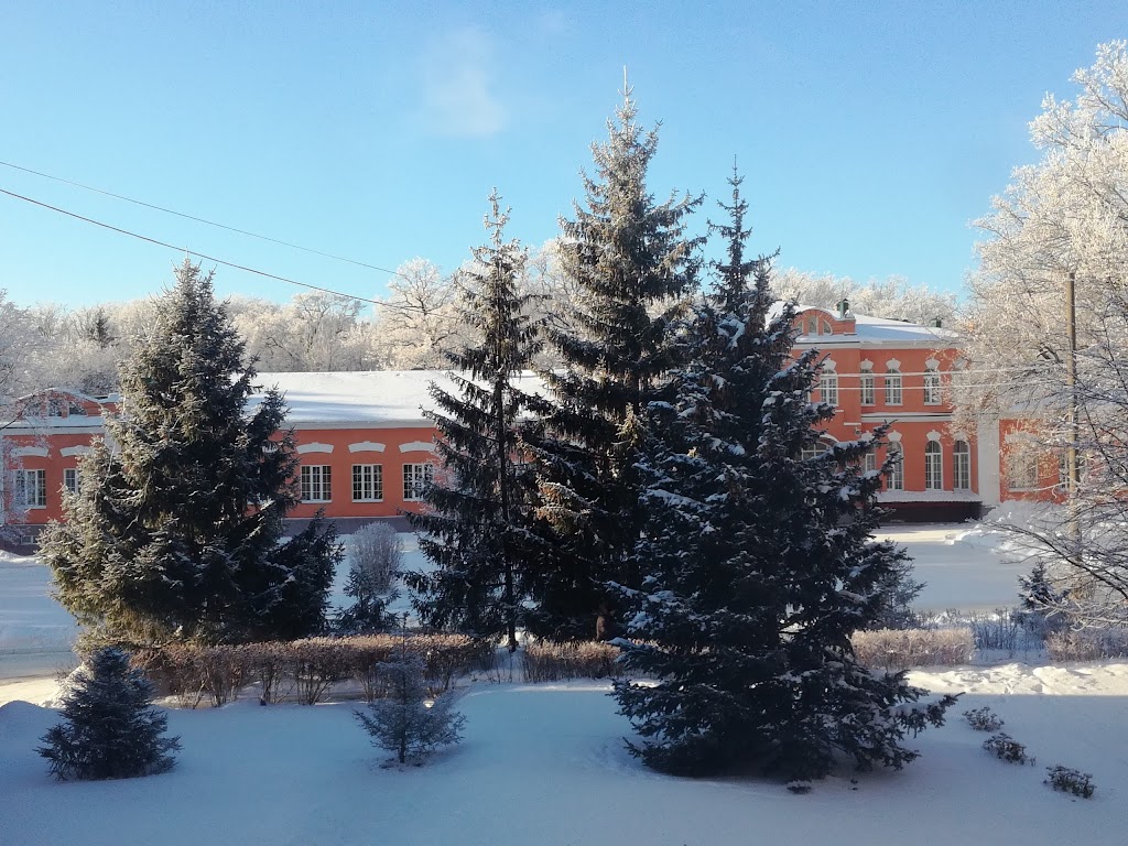 Тульская областная психиатрическая больница 1 им каменева. Больница Пенза Лермонтова 28. Психиатрическая больница Пенза Лермонтова. Лермонтова 28 психиатрическая больница. Психбольница Пенза Лермонтова 28.